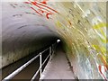 Inside Woodley Tunnel