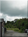 Woodland at Epworth Garden Centre with a wind spout in the distance