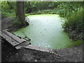 Pond on Stokes Field, Long Ditton