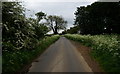 Road leading to Cold Aston