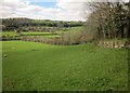 Countryside west of Moretonhampstead