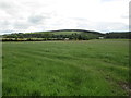 Farmland near Todholes