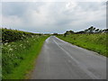 SD1281 : Beach Road out of Silecroft by Richard Law