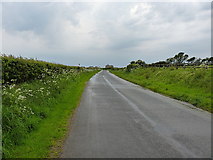 SD1281 : Beach Road out of Silecroft by Richard Law