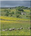 Hillside meadows towards the moors