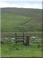 Stile and sheep near Lumbs Farm