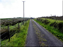 G9328 : Road at Greaghnaglogh by Kenneth  Allen