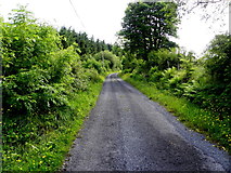 G9227 : Road at Tullintowell by Kenneth  Allen
