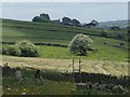 Hamps Way footpath across the fields