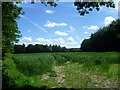 Footpath across a field next to The Woodman