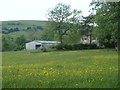 Meadow near Lower Elkstone