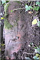 Benchmark on culvert on north side of Cook Lane