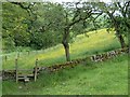 Footpath by Hoo Brook