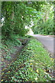 Culverted ditch beside Cook Lane