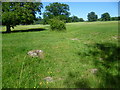 Remains of a building near Sandy Lane