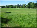 Looking across Penenden Heath