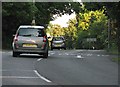 A June evening on Babraham Road