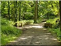 Bridge Over River Chor, Astley Park (Ackhurst Wood)