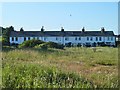 Terrace on South Road, Kingsdown