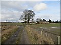 Farm road, Aberbothrie