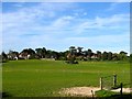 Dog Kennel Field/Banky Field/Middle Part