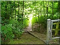 Steps down into Boggart Hole Clough