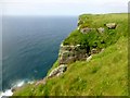 NC1248 : Cliff Top View Handa Island by Rude Health 