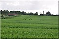 Taunton Deane District : Grassy Field