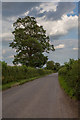 ST9158 : Minor road leading to Keevil by Doug Lee