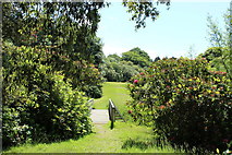 NX1161 : Castle Kennedy Gardens, Woodland Walk by Billy McCrorie