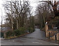 Riverside road to Blackwood Garden Centre