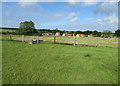 Housing, north end of Binham