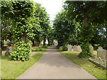 TM0321 : Path in St Lawrence Churchyard, East Donyland by Hamish Griffin