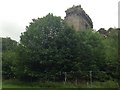 NS5477 : Ruins of Craigend Castle, Mugdock by Steven Brown