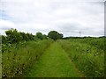 Holt, bridleway