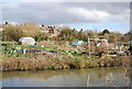 Allotments by the canal