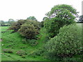 Disused Wannie Line railway from road bridge