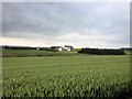 Farmland near Glazebury