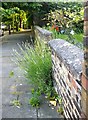 Front-garden wall, The Butts, Brentford