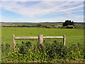 Crighdenis Townland