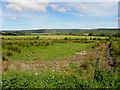 Ballymongan Townland