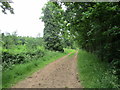 Track to Babworth Home Farm