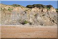 Cliffs above Colwell Bay