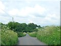 The lane to Hinton St George