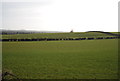 Farmland, Field View Farm