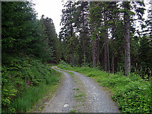 SN7193 : Forestry road above Cwm Einion by John Lucas