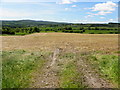 A gleaned field, Ardarver