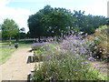 Raised flower beds in Canning Town Recreation Ground