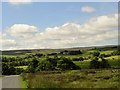 View south to the moors