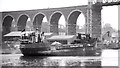 O0975 : The "Sealight", River Boyne, Drogheda (1991) by Albert Bridge